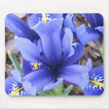 Iris Mousepad Alfombrillas De Ratón
