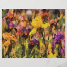 Iris - orquesta tarjetas informativas
