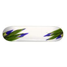 Iris Patin Personalizado