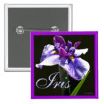 Iris púrpura azul gigante pin