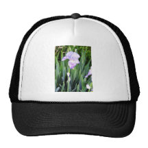 iris púrpura con el rocío moring gorros bordados