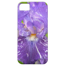 Iris púrpura iPhone 5 coberturas