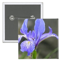 Iris púrpura salvaje pins