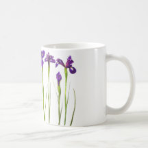 Iris púrpuras aislados en un fondo blanco taza