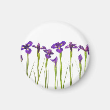 Iris púrpuras - plantilla modificada para requisit imanes para frigoríficos