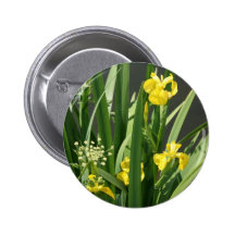 Iris que crecen en la orilla del río en el banco d pin