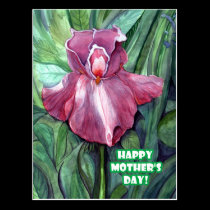 Iris rosado - postal del día de madre tarjetas postales