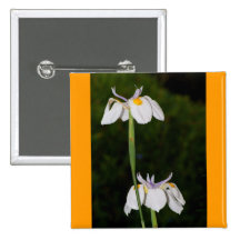 Iris salvaje pin