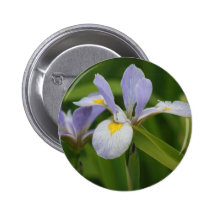 Iris salvaje pin
