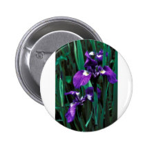 Iris salvaje pins