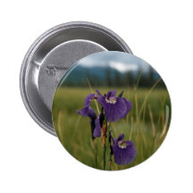 Iris salvaje pins