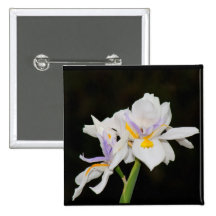 Iris salvaje pins