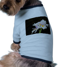 Iris salvaje ropa para mascota