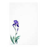 Iris Staionary de PMACarlsonElegant Papeleria De Diseño
