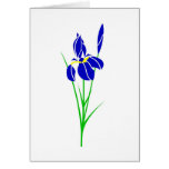 Iris Tarjeton