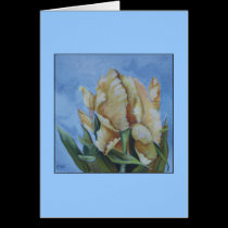 Iris tarjetas