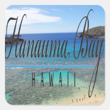 Isla de Oahu de la bahía de Hawaii Hanauma Etiquetas