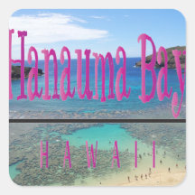 Isla de Oahu de la bahía de Hawaii Hanauma Calcomanía Cuadrada Personalizada