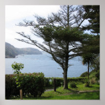 Isla del hombre poster