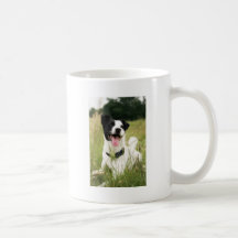Jack Russell Tazas De Café