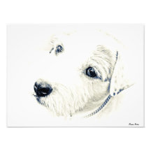 Jack Russell Terrier Arte Fotográfico