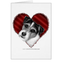Jack Russell Terrier con el corazón Felicitacion