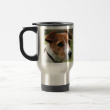 Jack Russell Terrier Taza