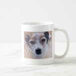Jack Russell Terrier Taza De Café