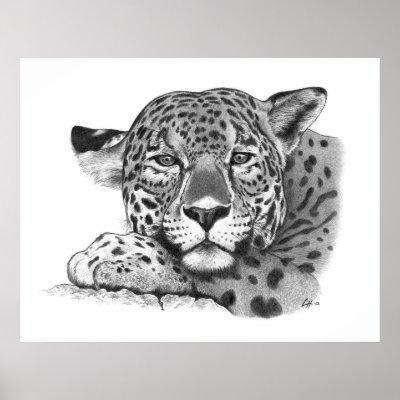 Jaguar on Esto Es Un Dibujo De L  Piz De Un Jaguar Que Fue Hecho Hace