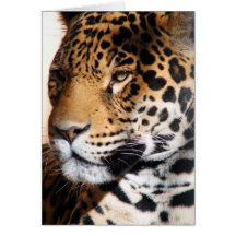 Jaguar Felicitaciones