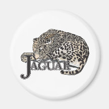 Jaguar Imán