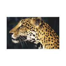 Jaguar Impresiones En Lona Estiradas