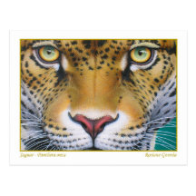 Jaguar Postal