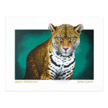 Jaguar Tarjeta Postal