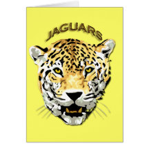 JAGUARES FELICITACIONES