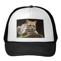 Jaguatirica Gorro De Camionero