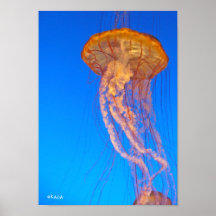 Jalea majestuosa posters