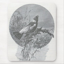 James Johonnot - Bobolink Alfombrillas De Ratón