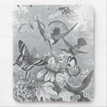 James Johonnot - colibríes Alfombrillas De Raton