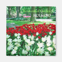 Jardín blanco rojo de los tulipanes imanes