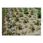 Jardín de flores felicitación