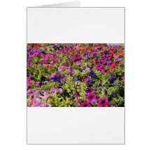 Jardin de flores felicitaciones