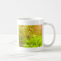 Jardín de hierbas - Mónaco Taza