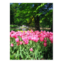 Jardín de Keukenhof - Holanda Postal