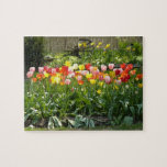 Jardín de la primavera puzzles con fotos