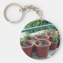 Jardín de las pimientas de las especias de las hie llaveros