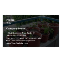 Jardín de las pimientas de las especias de las hie tarjeta de visita