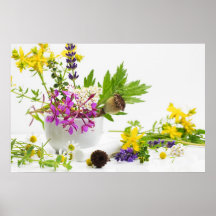 Jardín de yerba posters