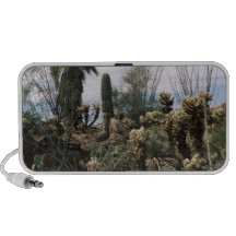 Jardín del cactus sistema altavoz