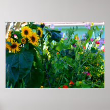 Jardín del país poster